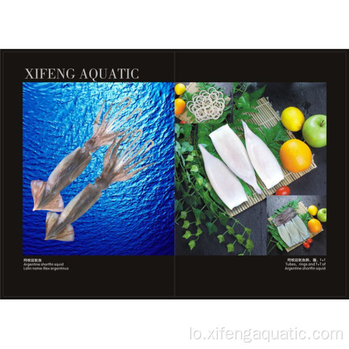 Frozen Seafood llex Squid ຂາຍຕະຫຼອດ